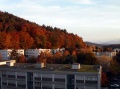 Herbststimmung an der Lngfeldstrasse